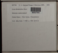 Image Associated With the Occurence